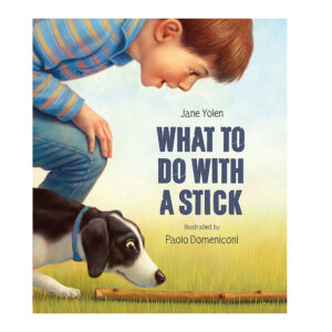 What To Do With A Stick