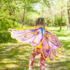 Dreamy Dress-Ups Rainbow Fairy Wings