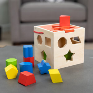 Take Along Shape Sorter