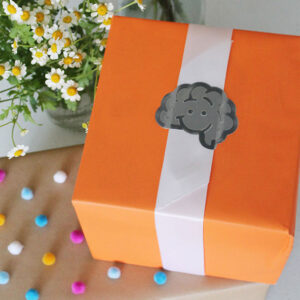 Deluxe Fat Brain Toys Birthday Wrap