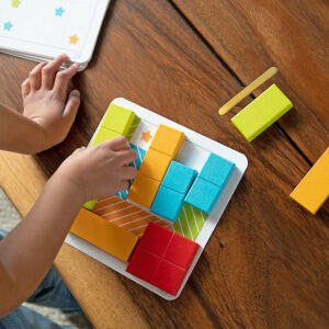 Little Thinkers Block Logic Puzzles