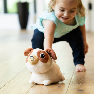Pip The Pug