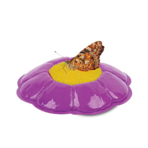 Deluxe Butterfly Feeder