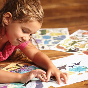 Habitats Reusable Sticker Book