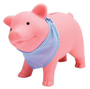 Rubber Piggy Bank