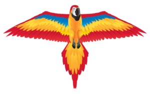 Nylon 2D Kite - Red Macaw