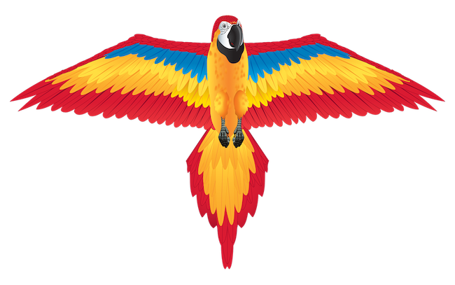 Nylon 2D Kite - Red Macaw